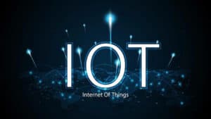 How IoT Networks will Transform your Business in 2022