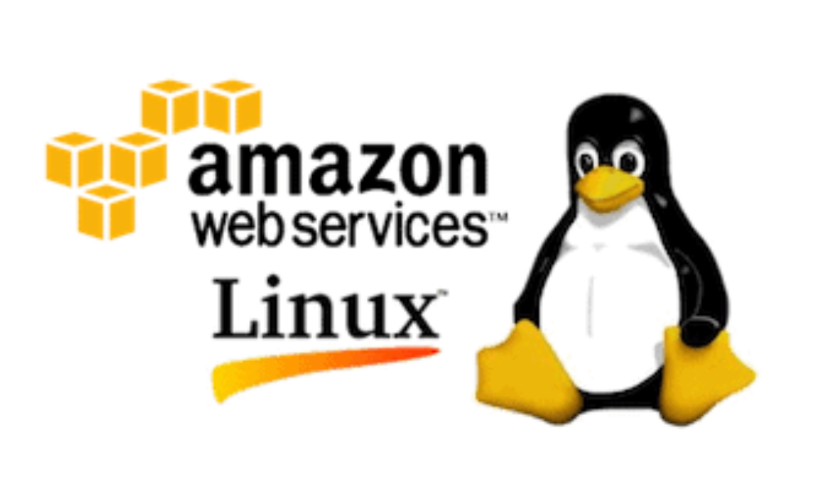 Custom AMI with Custom hostname